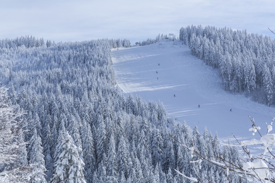 Skigebied Todtnauberg